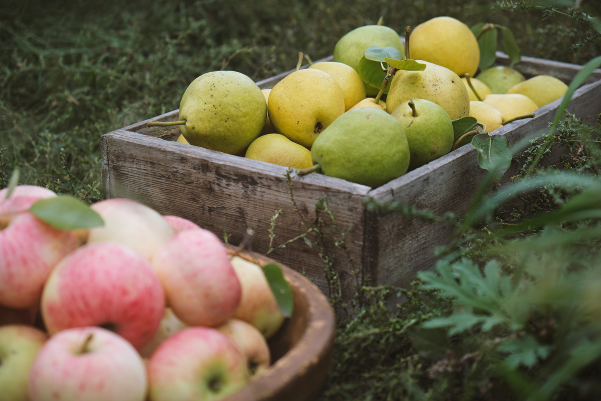 La producción orgánica salva la exportación argentina de manzanas y peras
