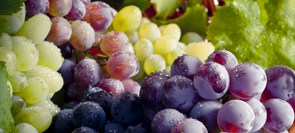 Fuertes cambios caracterizaron al negocio de uvas del hemisferio sur