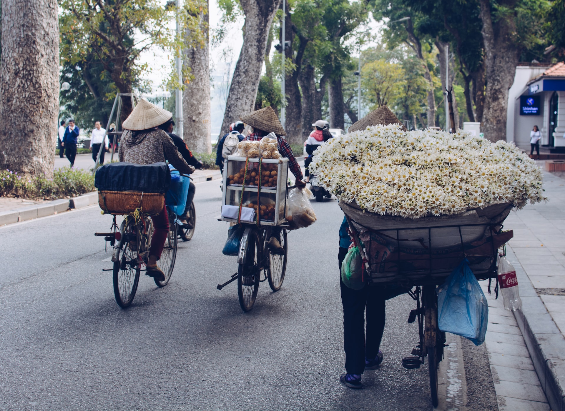 Vietnam, un interesante socio comercial para Sudamérica.