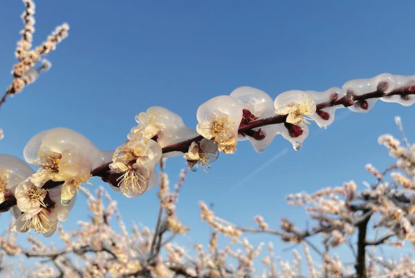 Foto de Jametlene Reskp en Unsplash