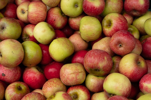 Las manzanas australes frente a a un nuevo escenario mundial