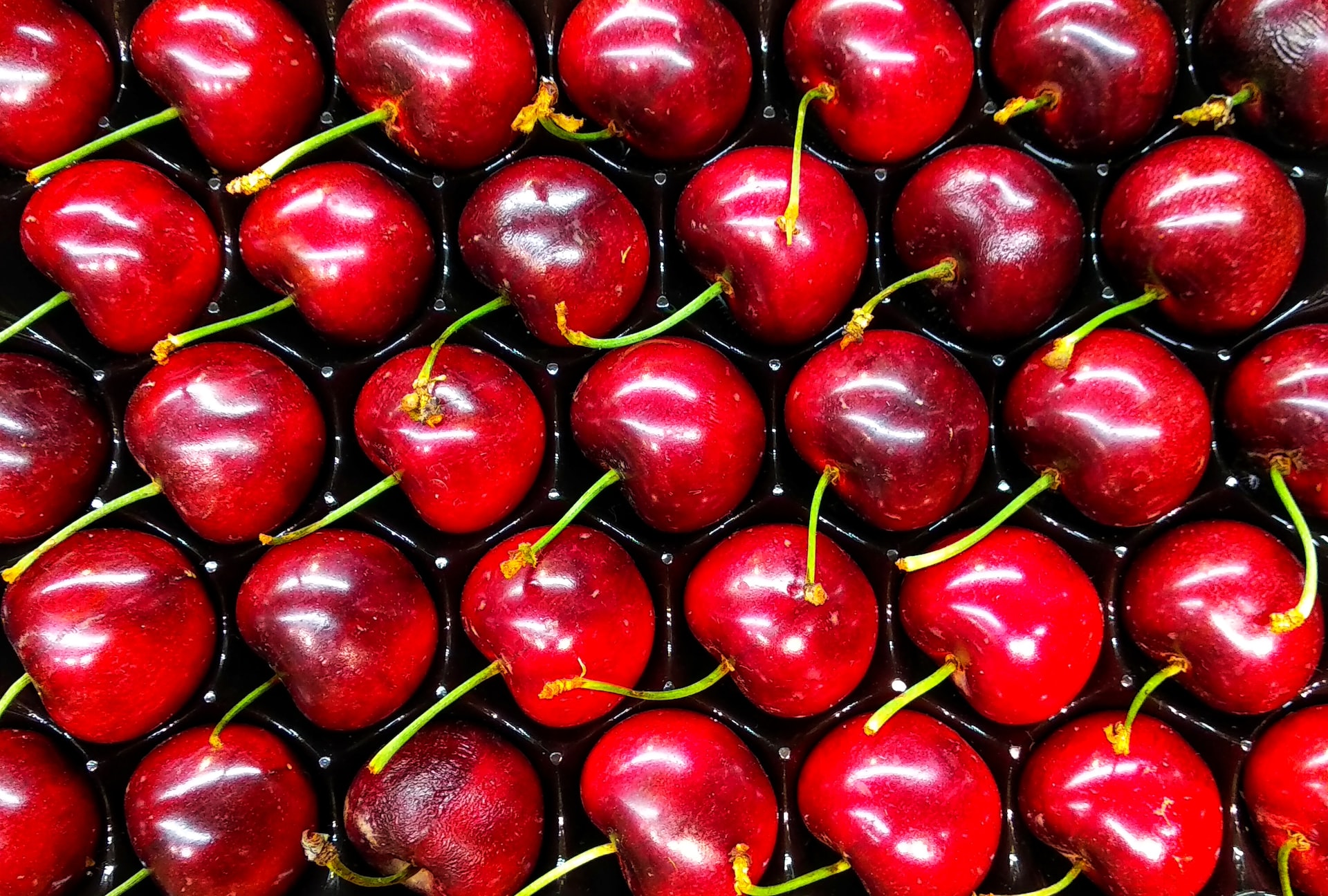 Las cerezas australes siguen conquistando mercados