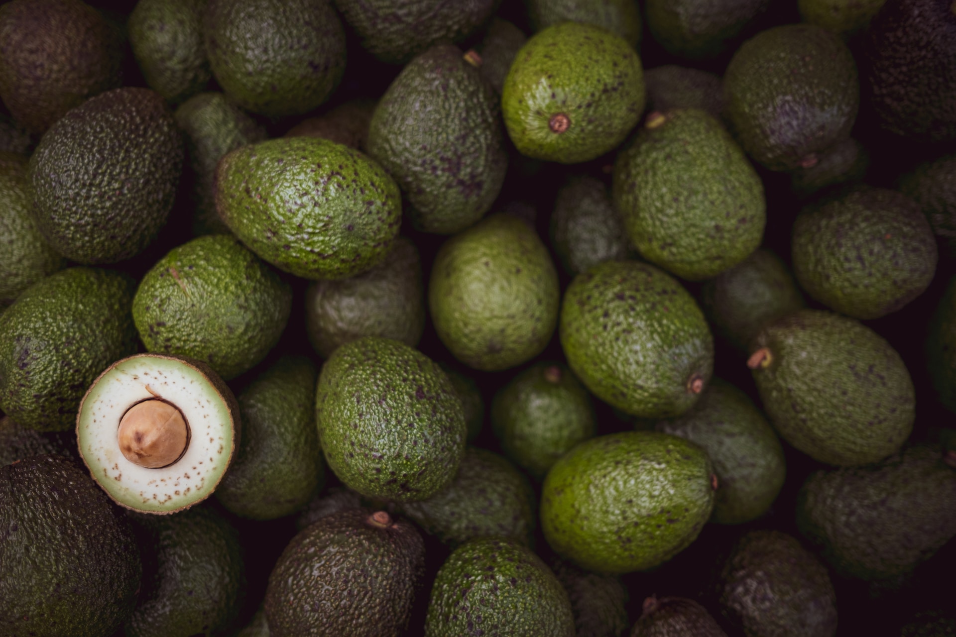 El negocio de la palta austral: Un viaje en montaña rusa