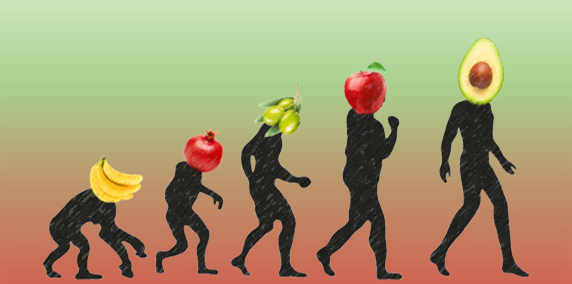 “An Avocado a day keeps the doctor away?” – Cambios en la fruticultura: 30 años