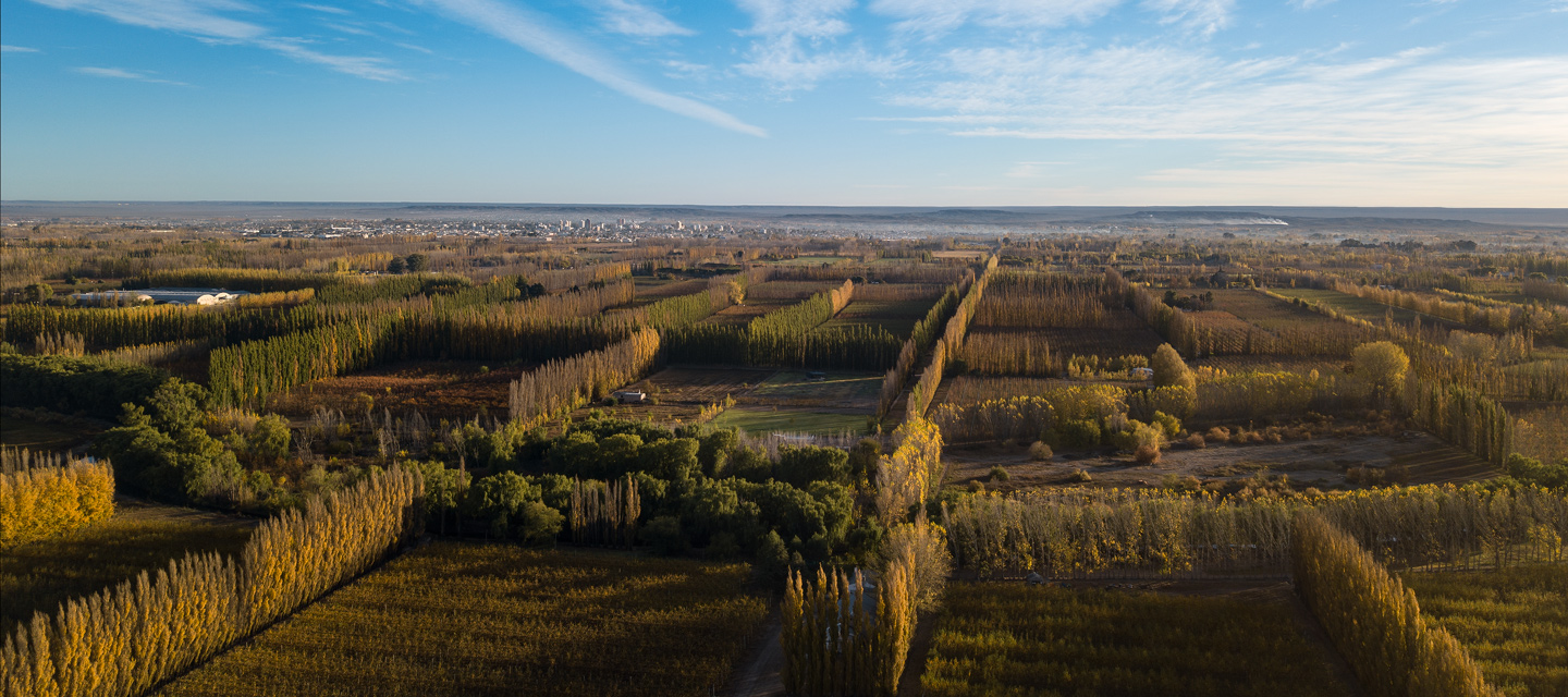 El Valle de Río Negro frente a una nueva oportunidad